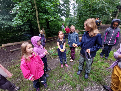 Blauhölzli Wald 2025