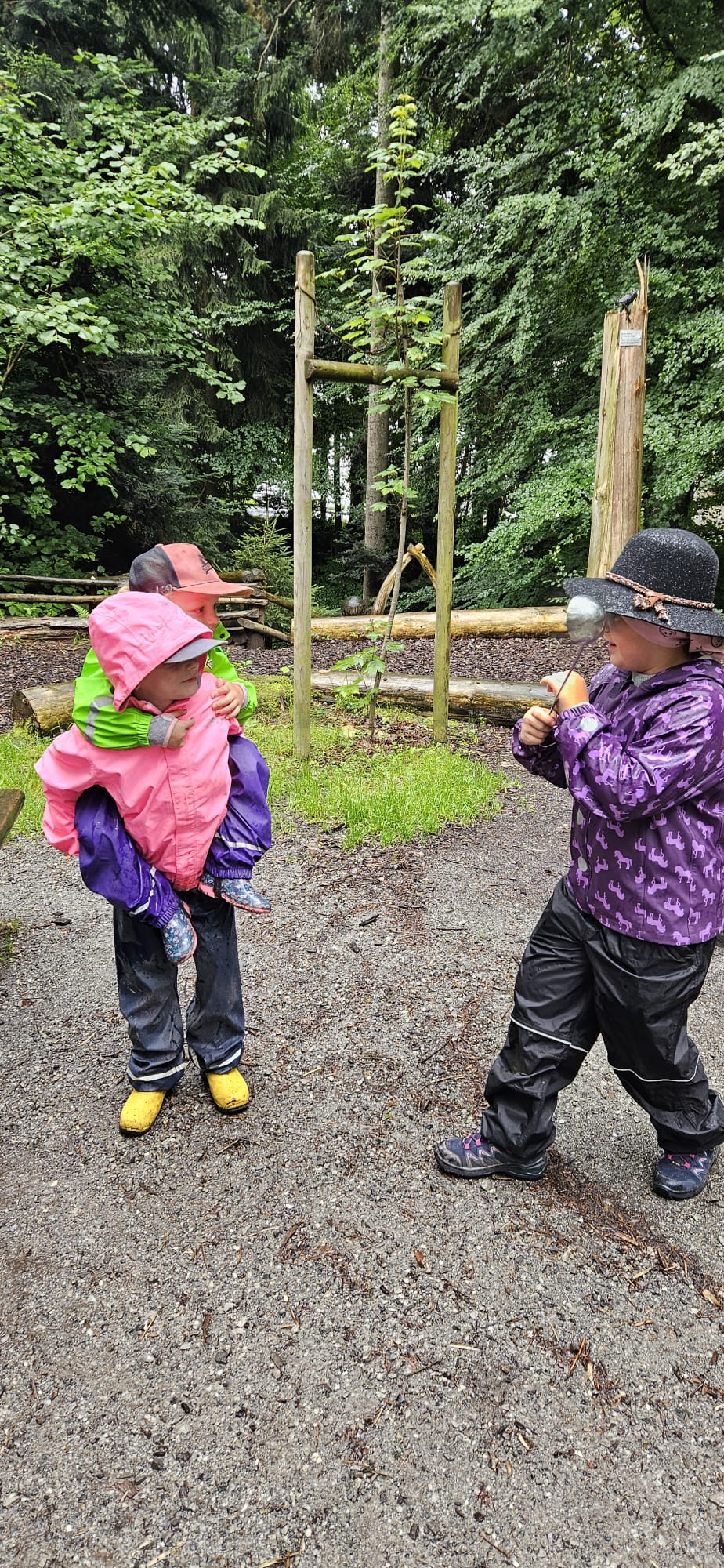 Blauhölzli Wald 2025