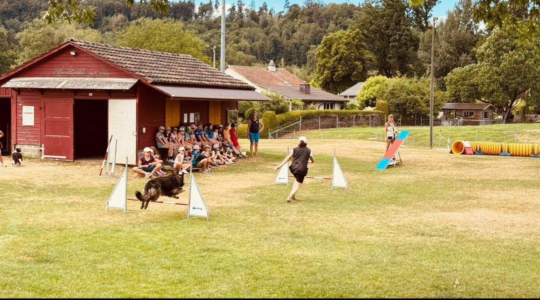 Hund 2026