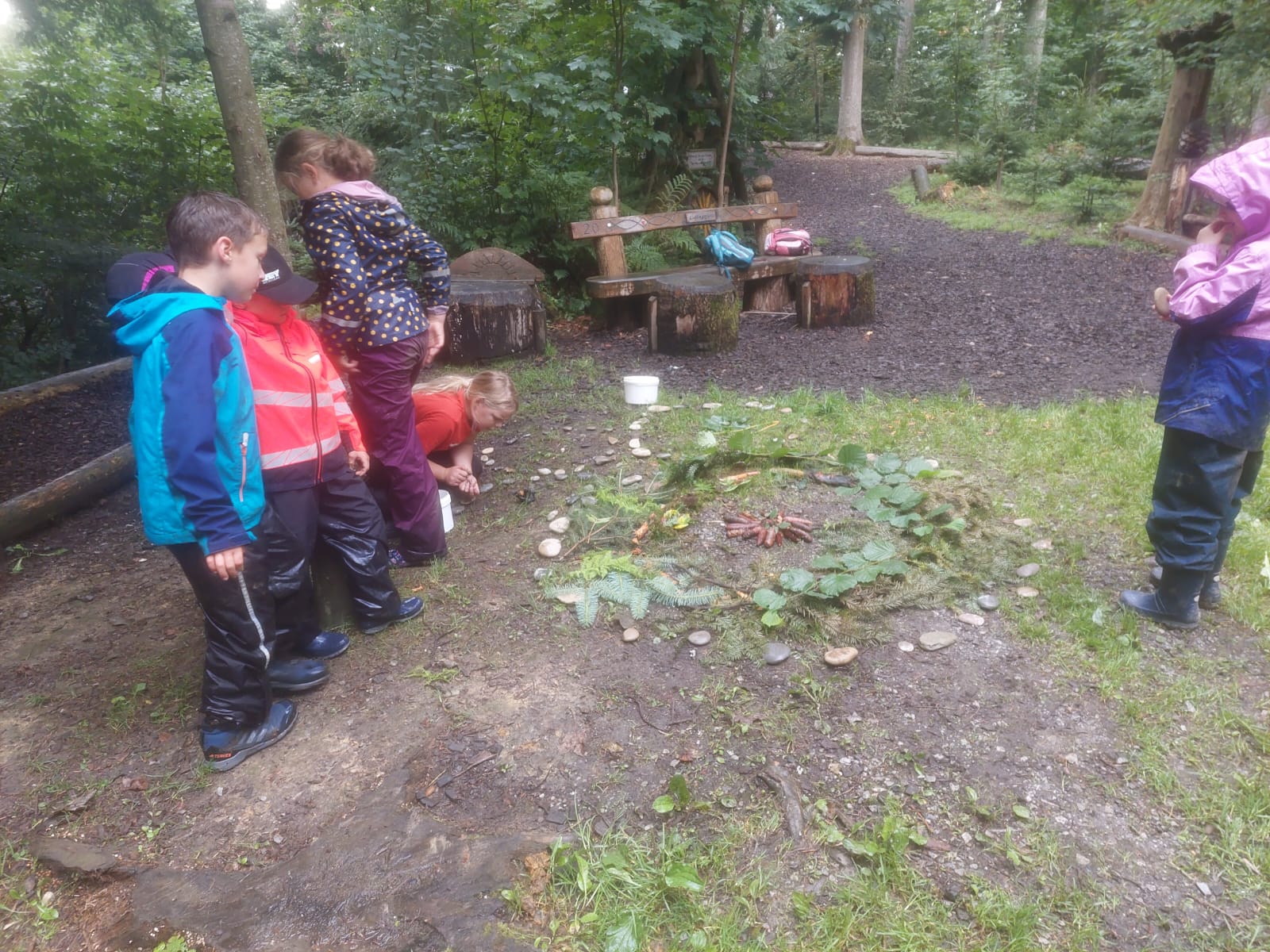 Blauhölzli Wald 2025