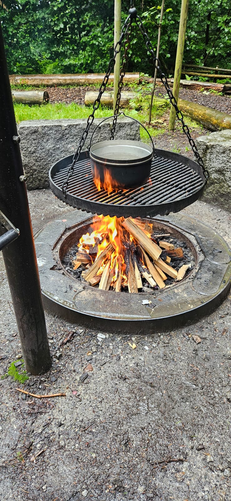 Blauhölzli Wald 2025