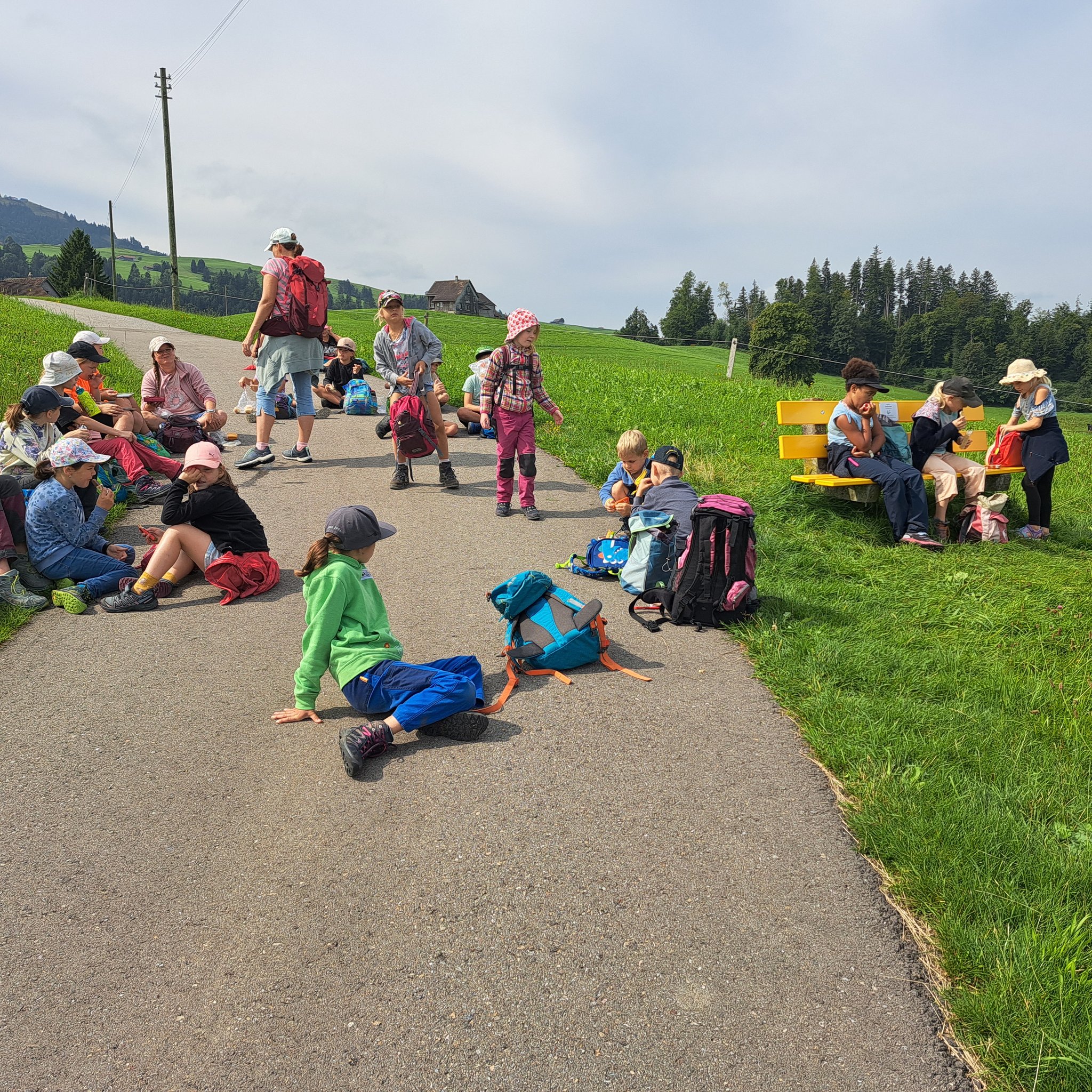 Perlenweg/Schaukäserei 2025