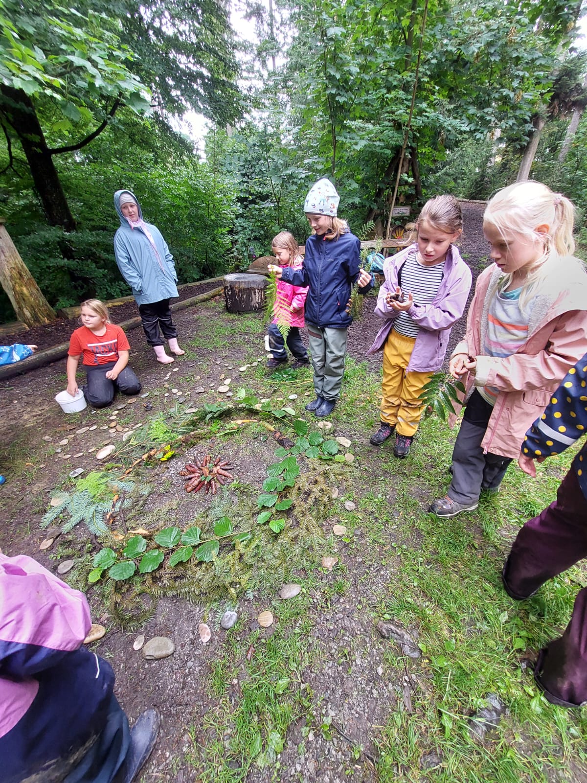 Blauhölzli Wald 2025